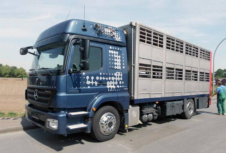 Транспортировать домашний скота из Дубна в Запрудная